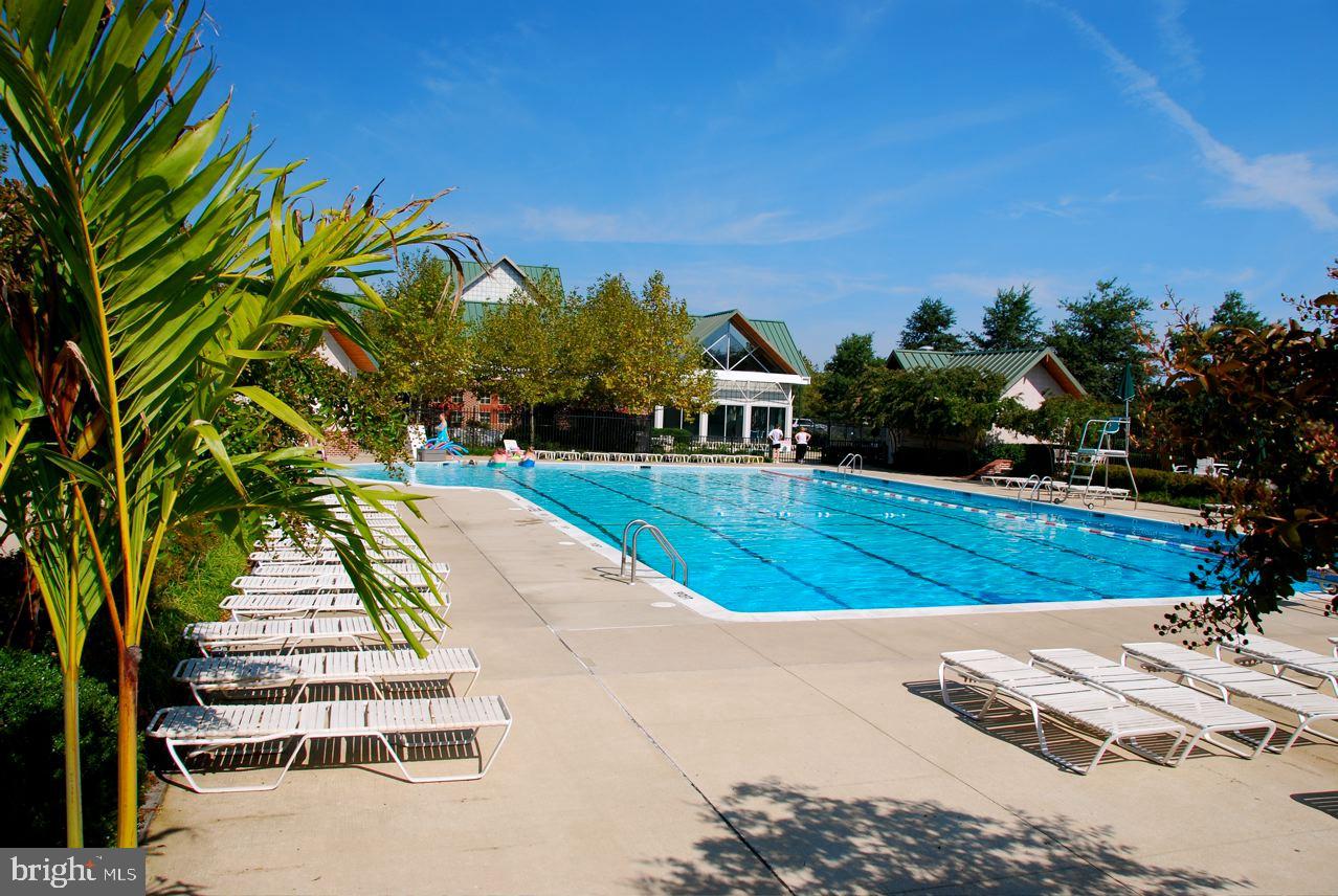 BEAR TRAP - Residential