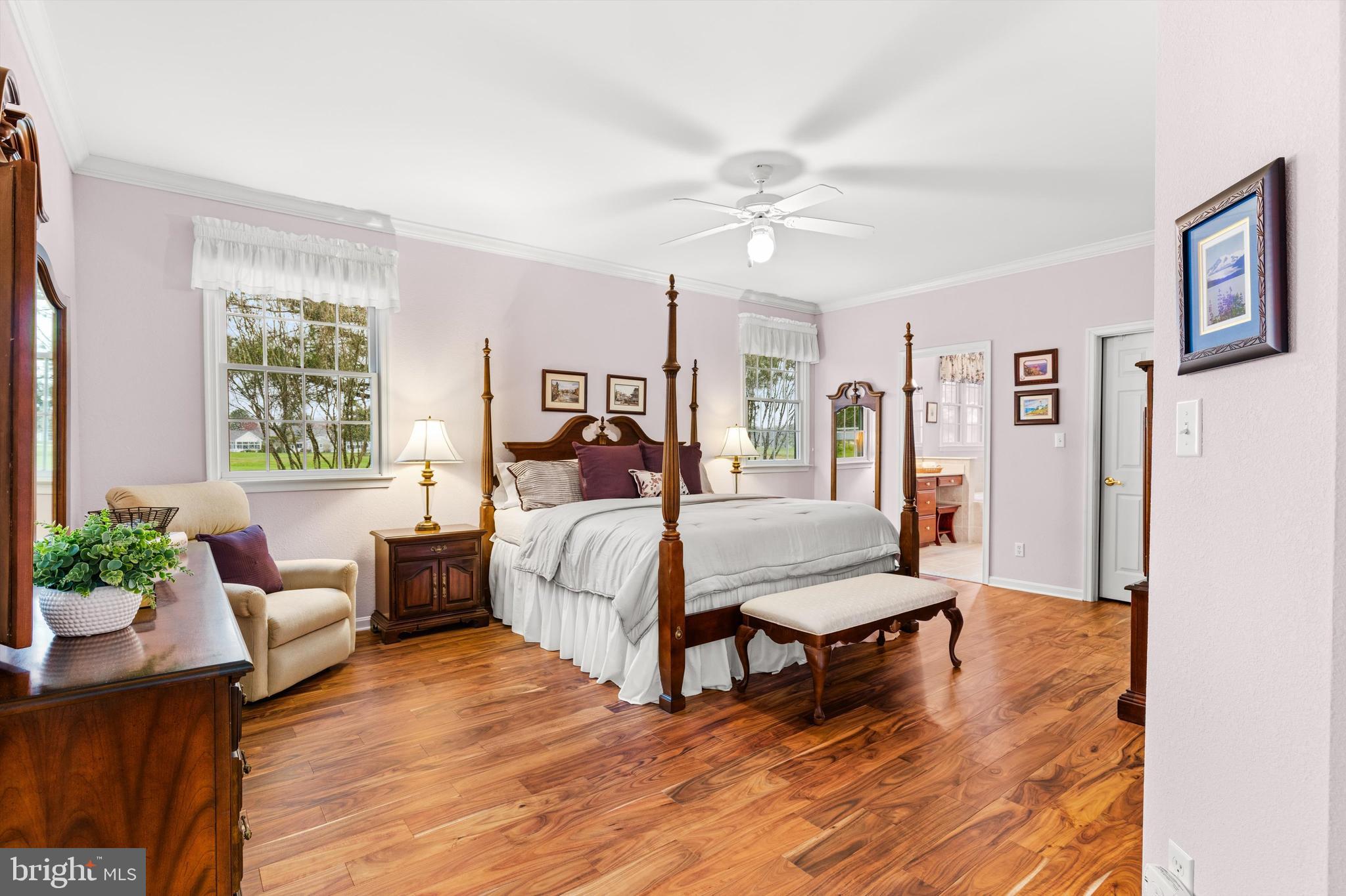 BEAR TRAP - Residential