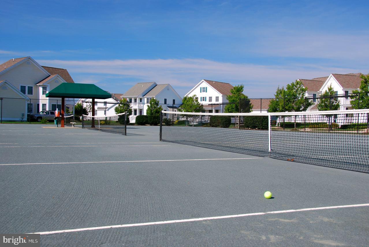 BEAR TRAP - Residential