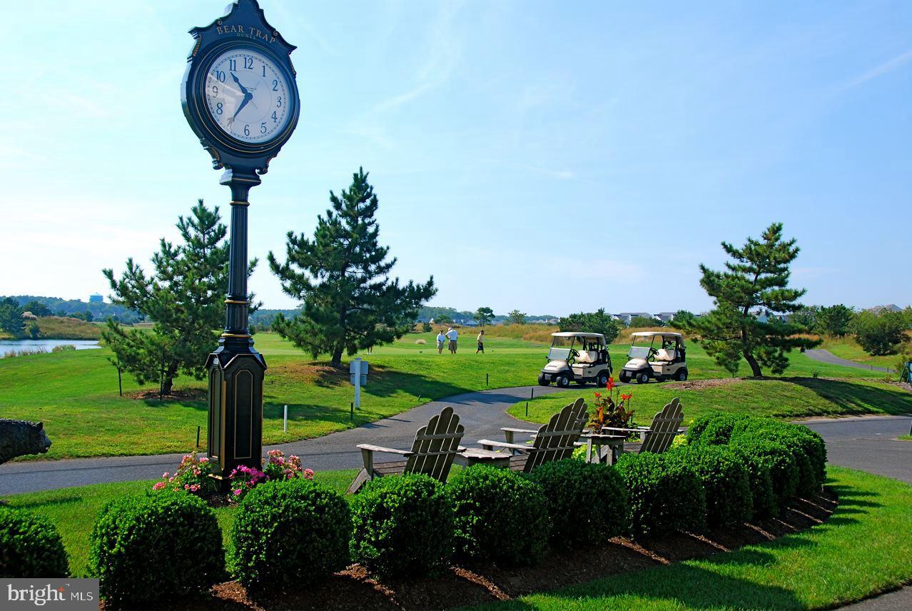 BEAR TRAP - Residential