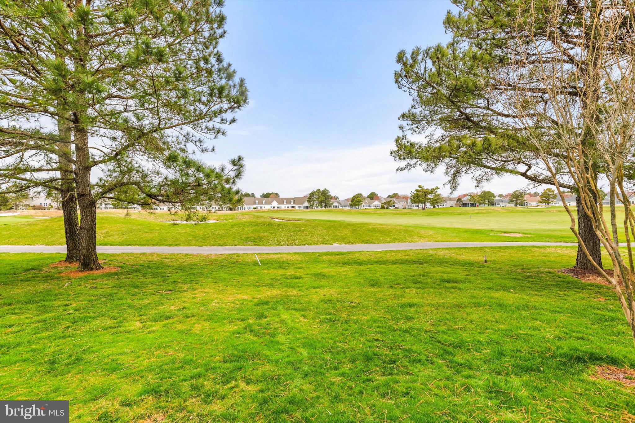 BEAR TRAP - Residential