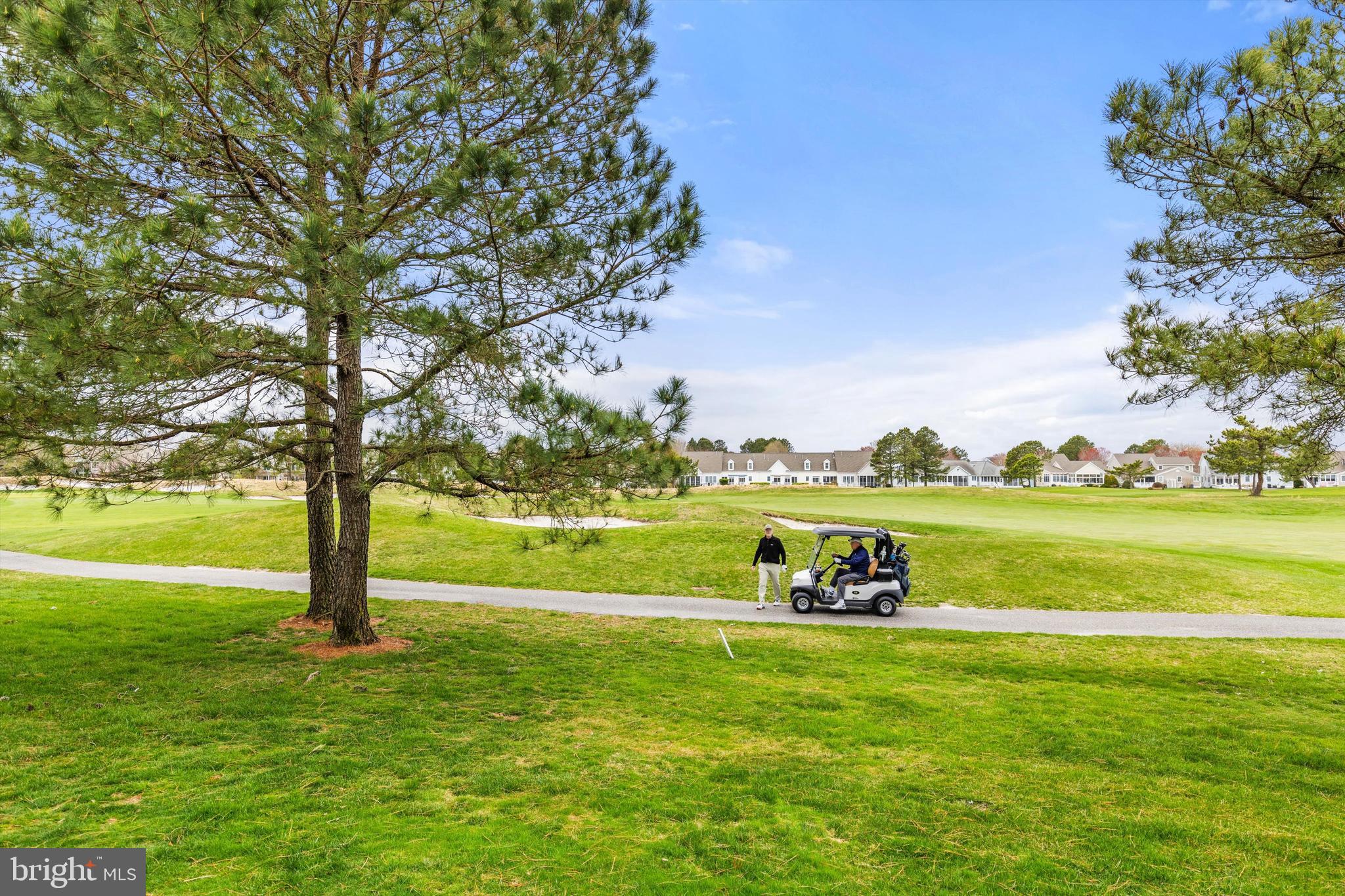 BEAR TRAP - Residential