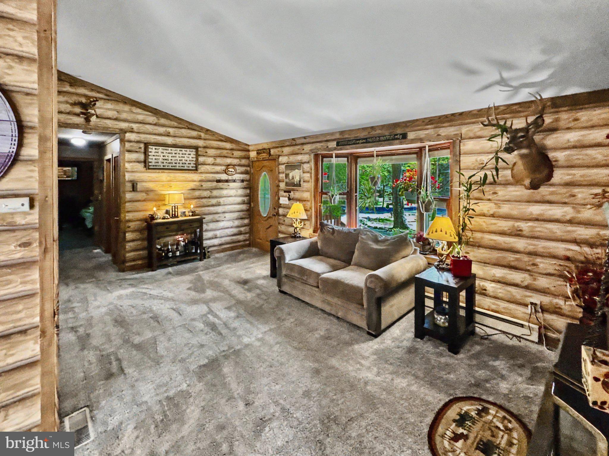 167 TOMMYS LANE