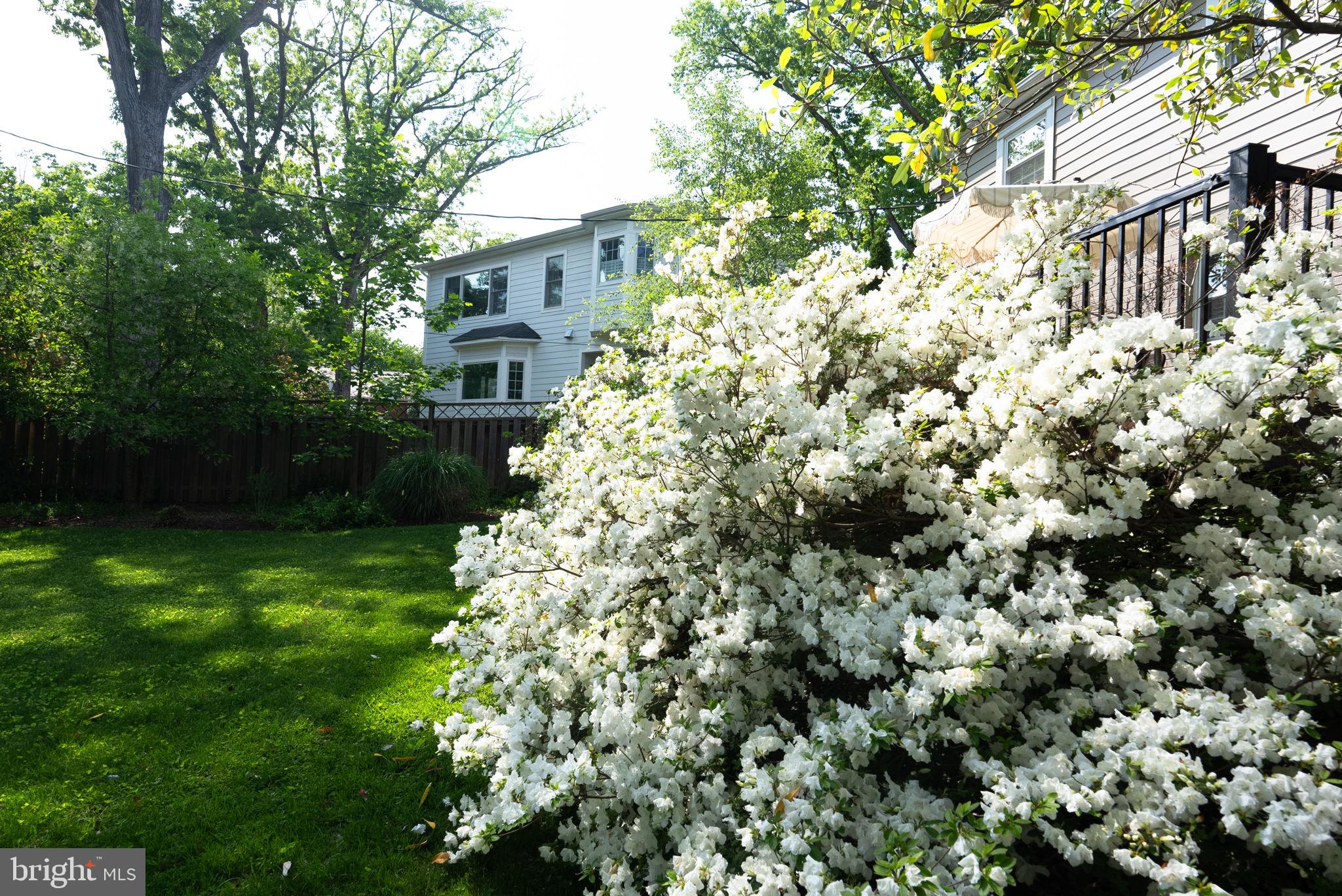 BEVERLY HILLS - Residential