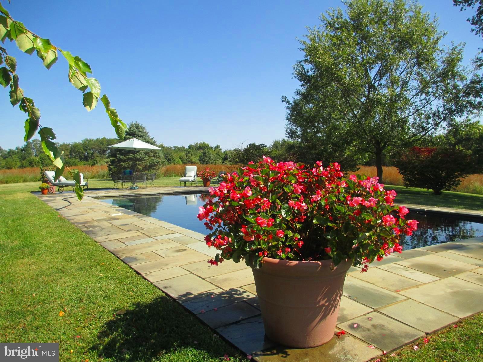 MELITOTA - Residential