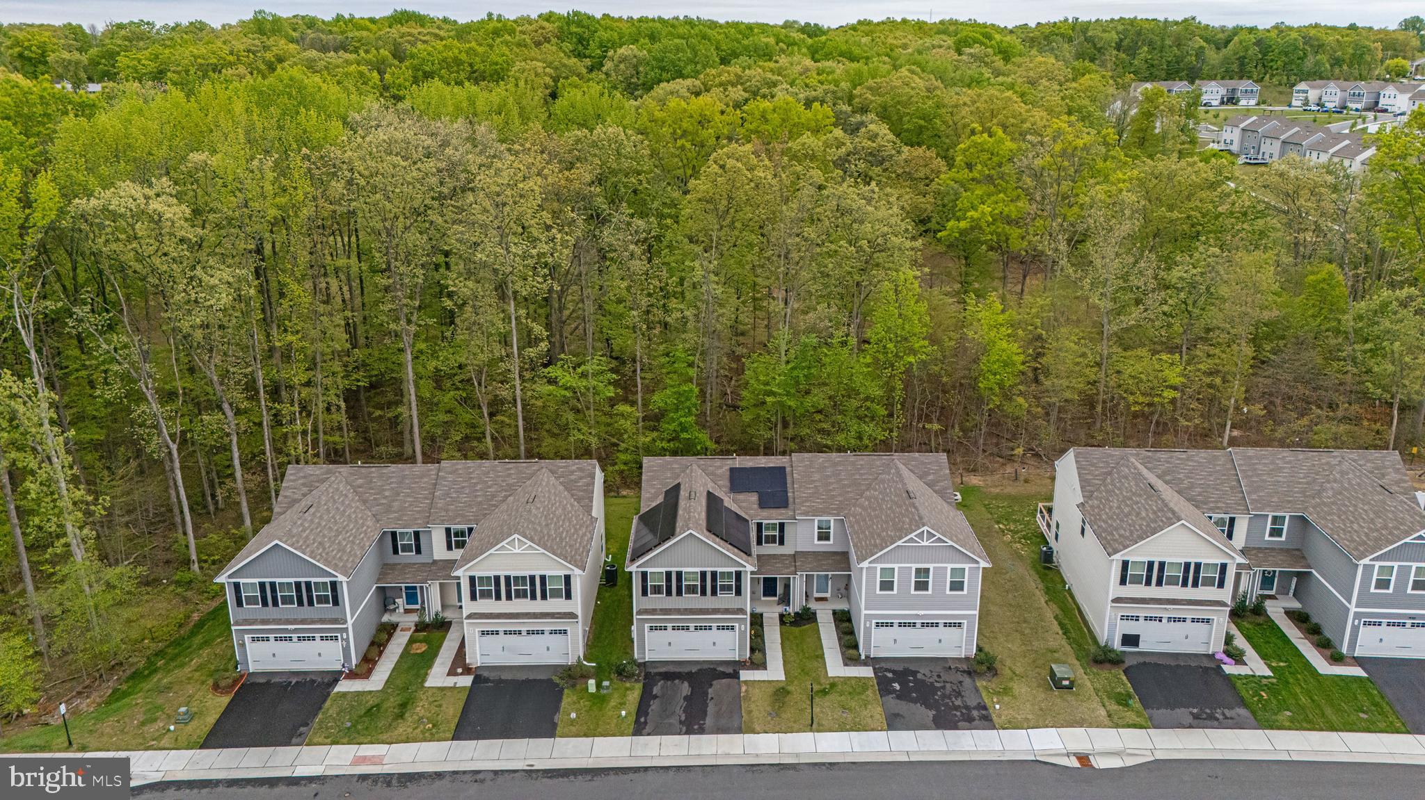 RIDGELY FOREST - Residential