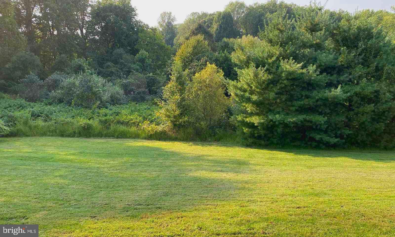 8091 SIDE HILL DRIVE