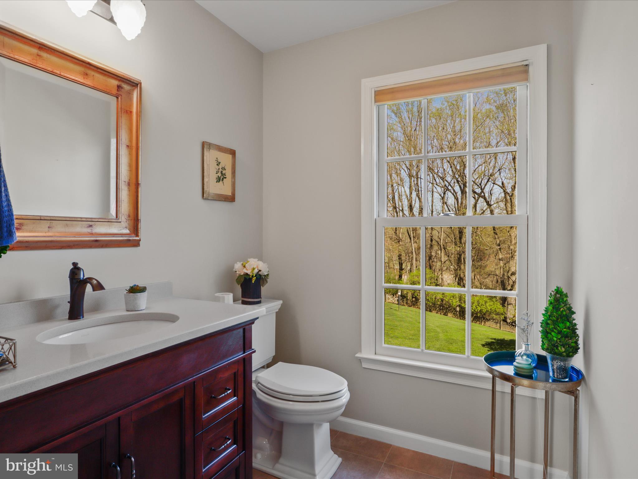 WOLFTRAP MEADOWS - Residential