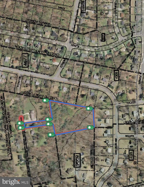 MLS: MDPG2211708