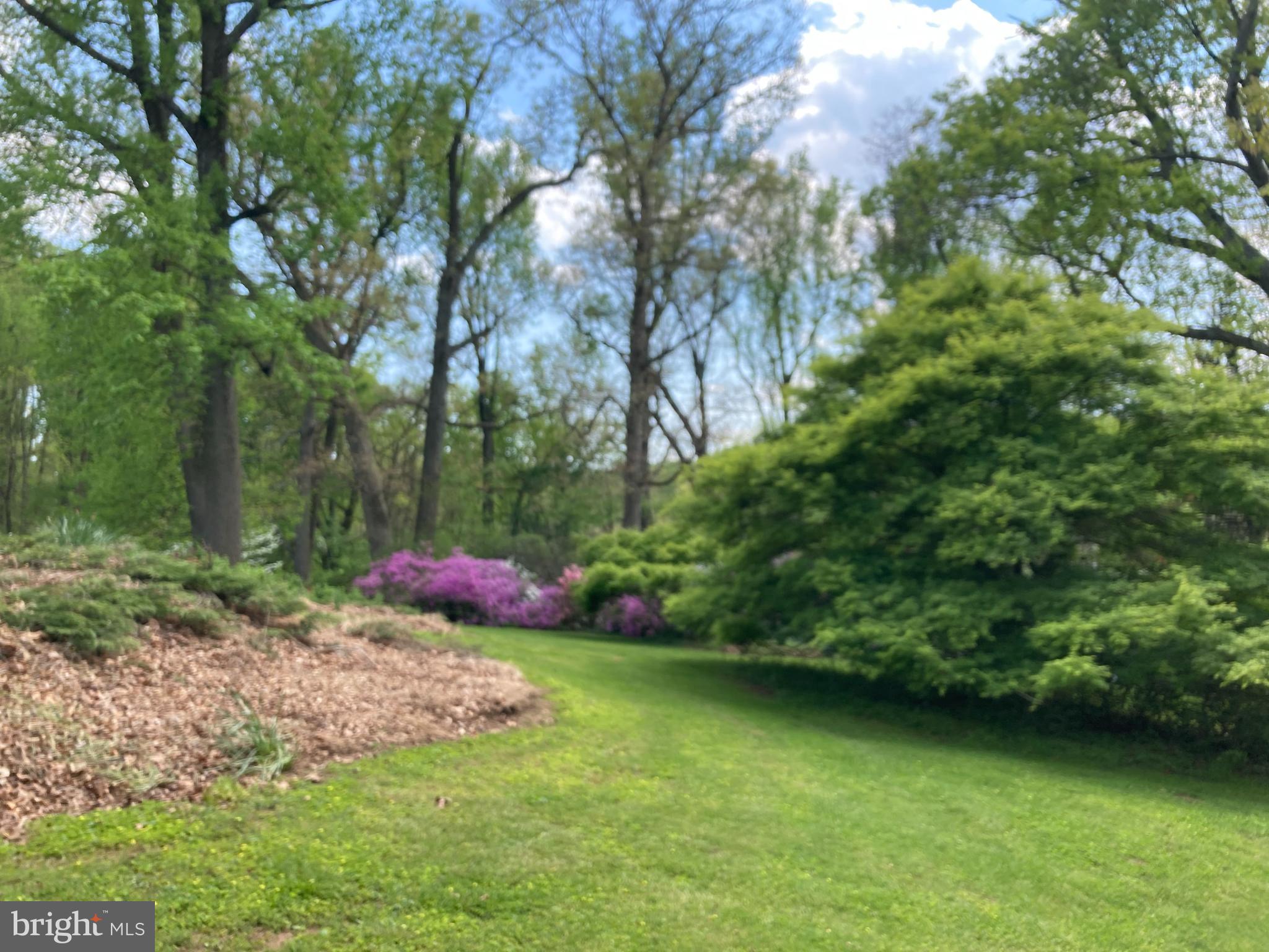 GLEN ARM - Residential