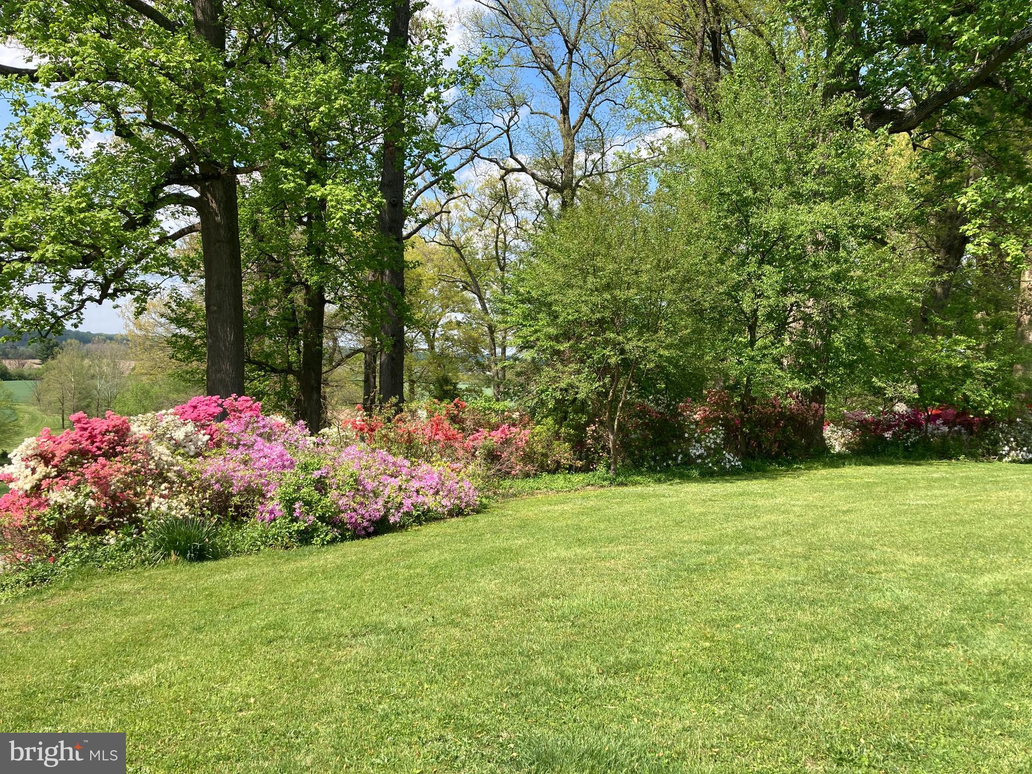 GLEN ARM - Residential