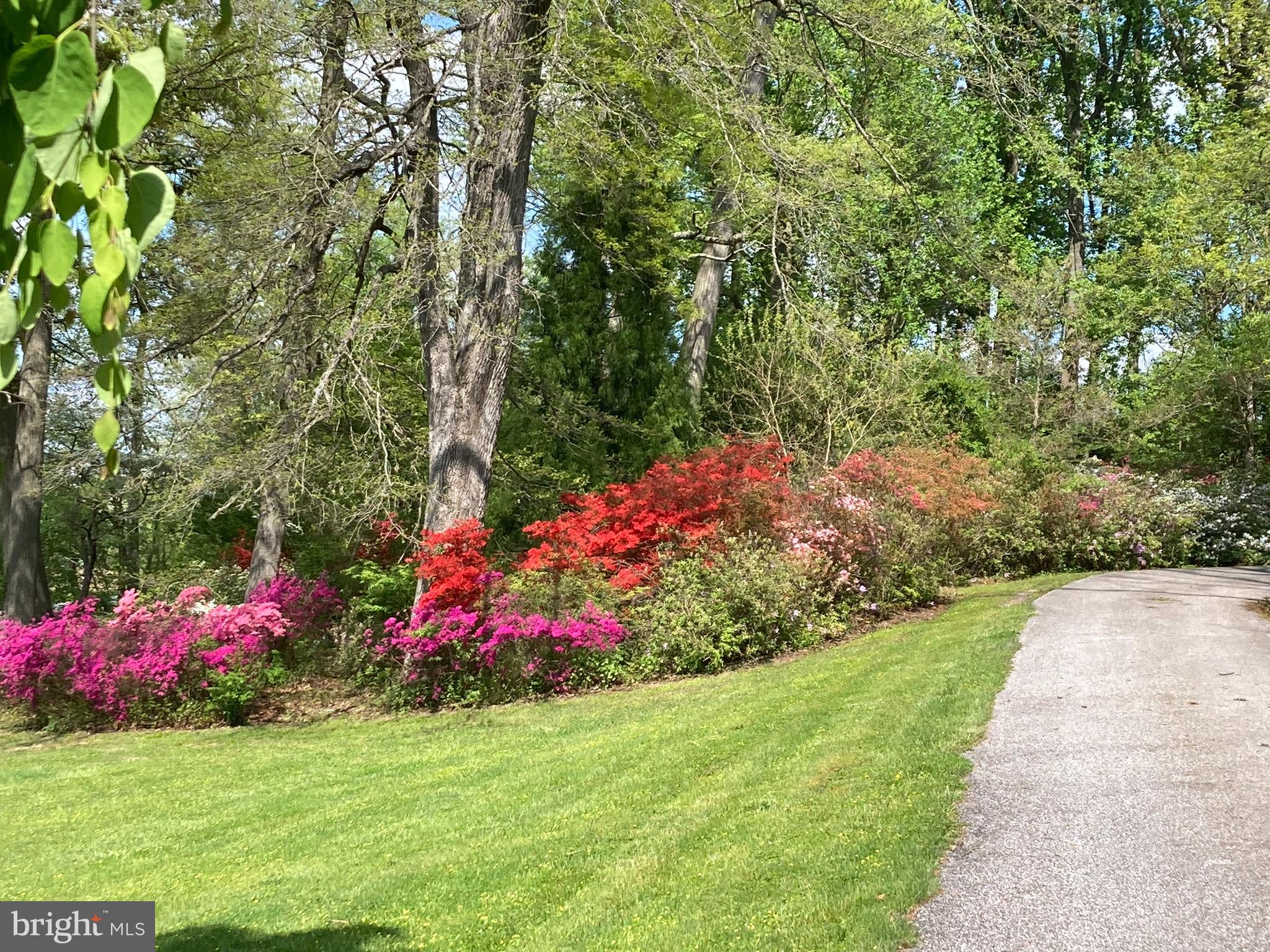 GLEN ARM - Residential