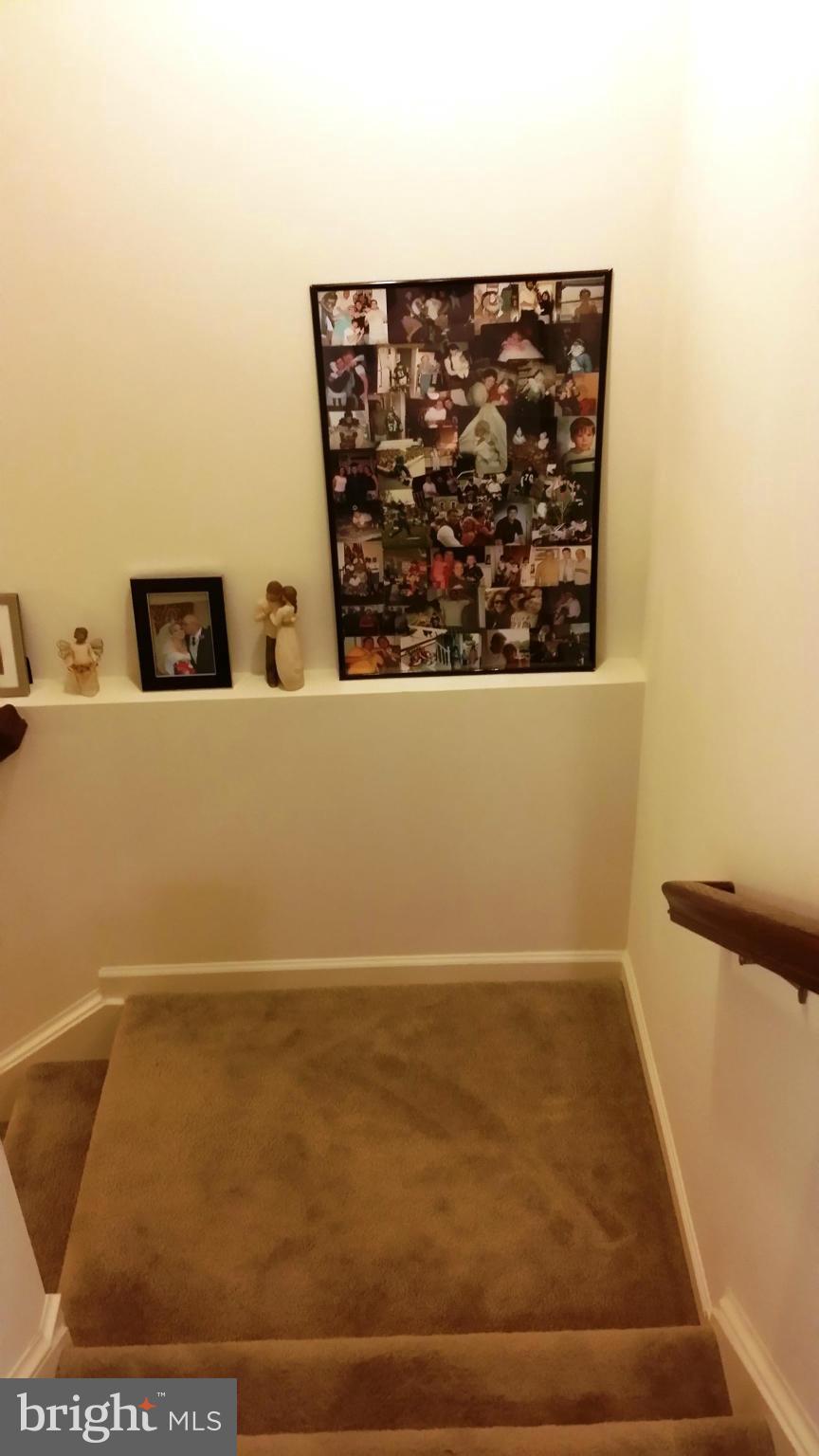 TROUT RUN - Residential