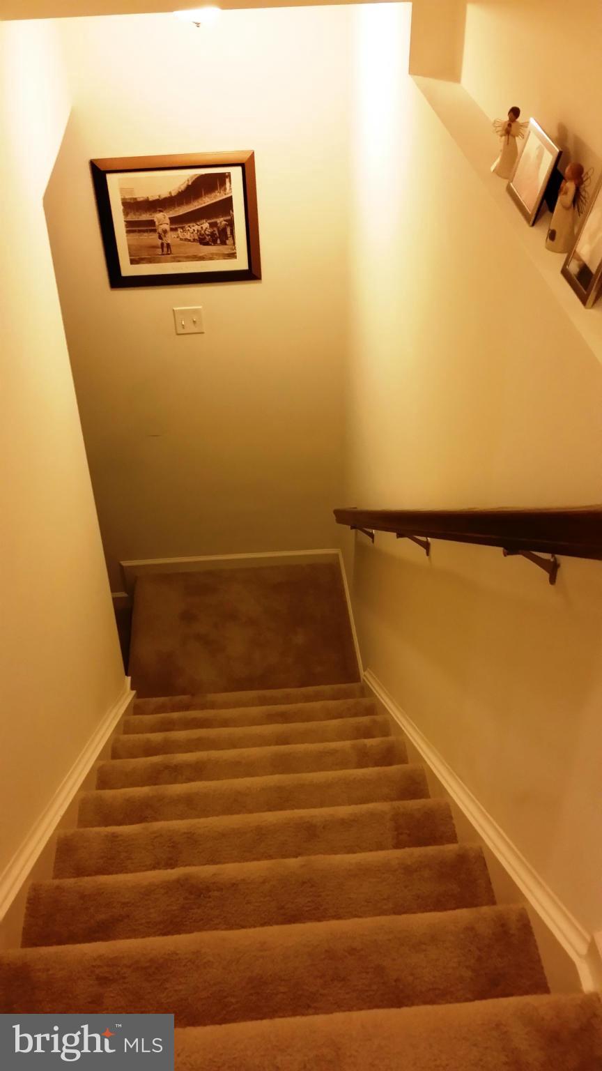 TROUT RUN - Residential