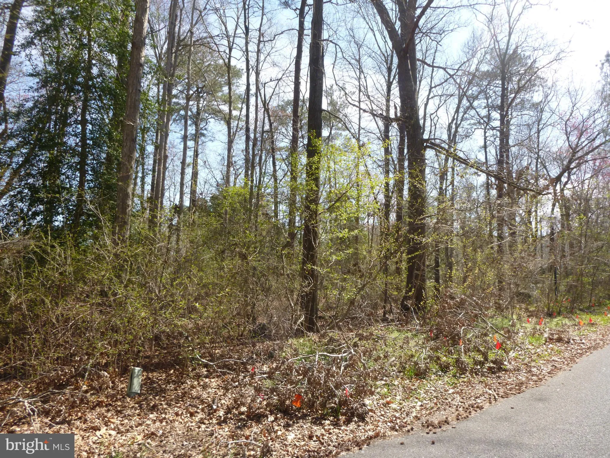 Lot 6 Indian Queen Ln, Dagsboro, DE 19939