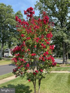 VILLA LORING - Residential