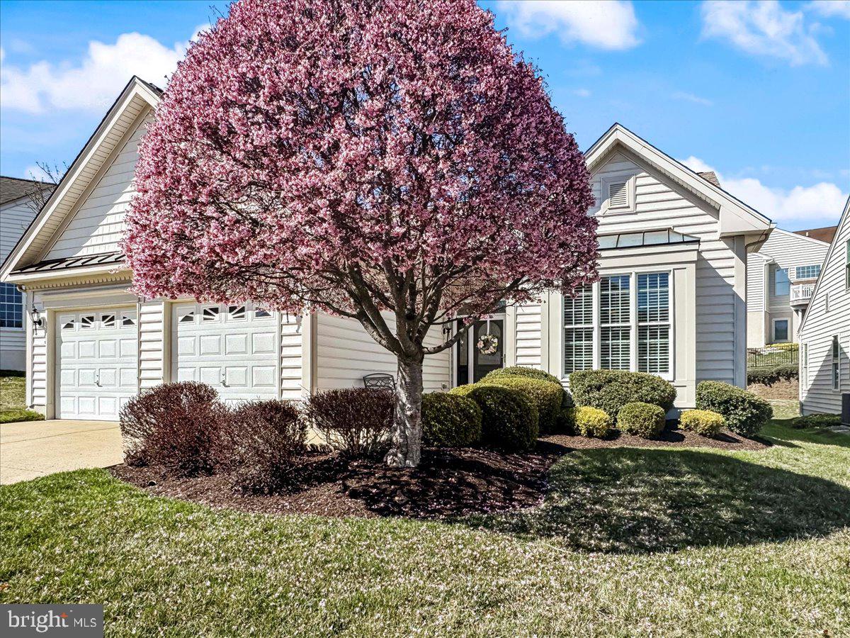 RIVIERA AT CONCORD - Residential