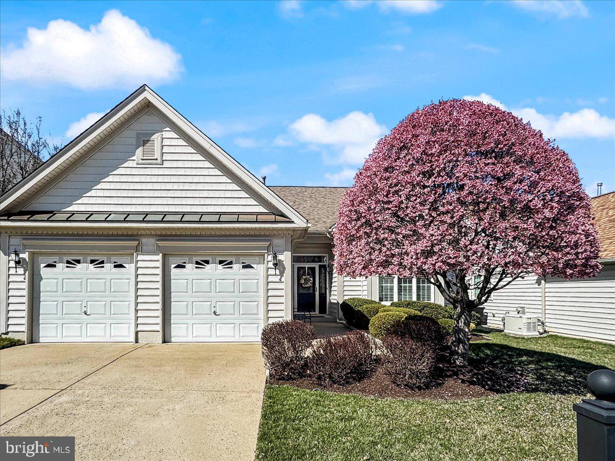 15 CASSIN HILL ROAD