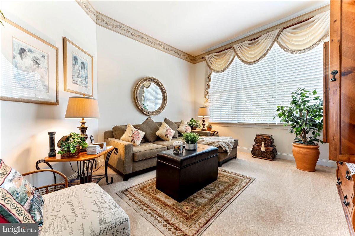 15 CASSIN HILL ROAD
