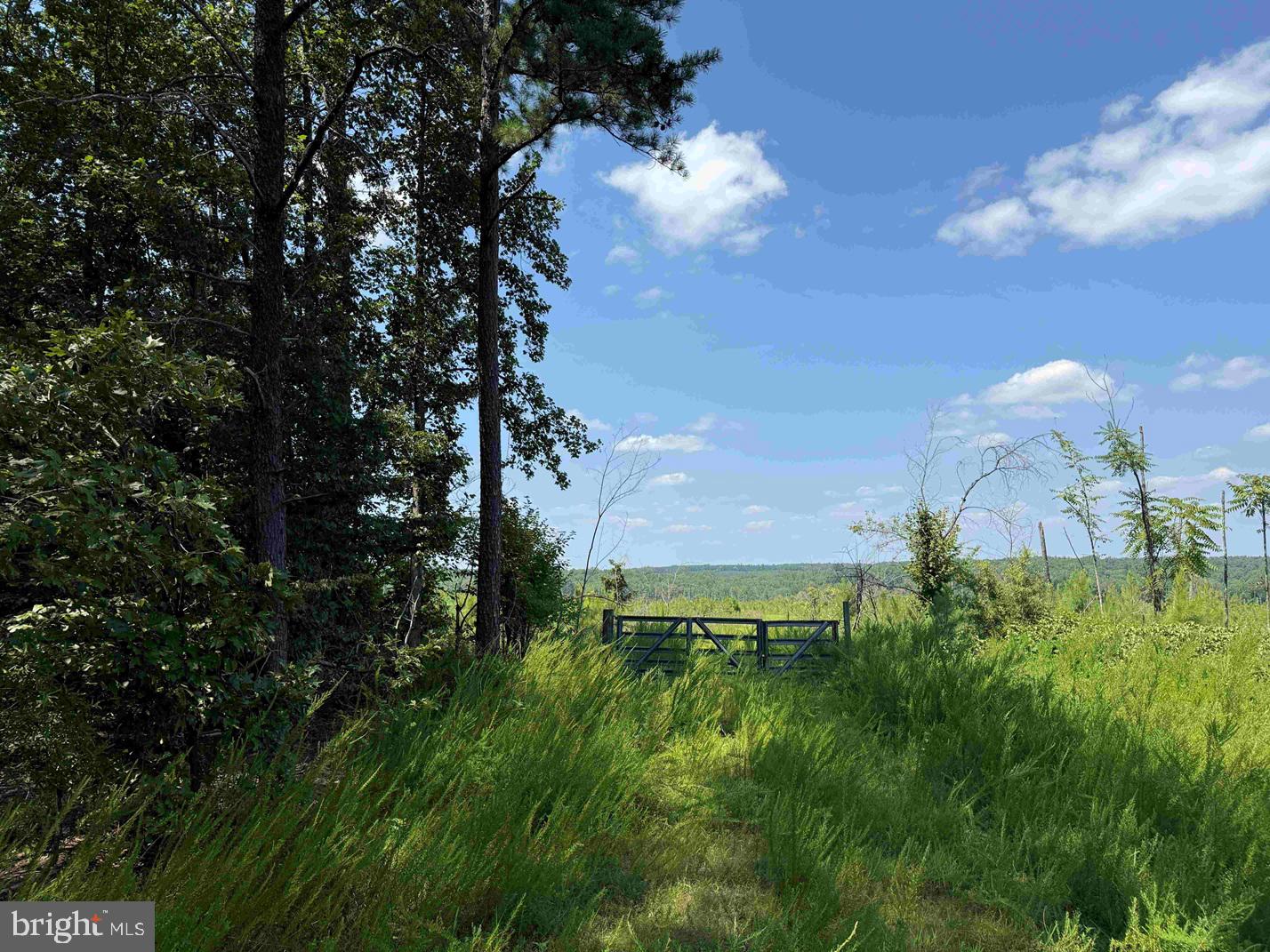 BREMO ROAD (TRACT: JR BARNES DILLION)