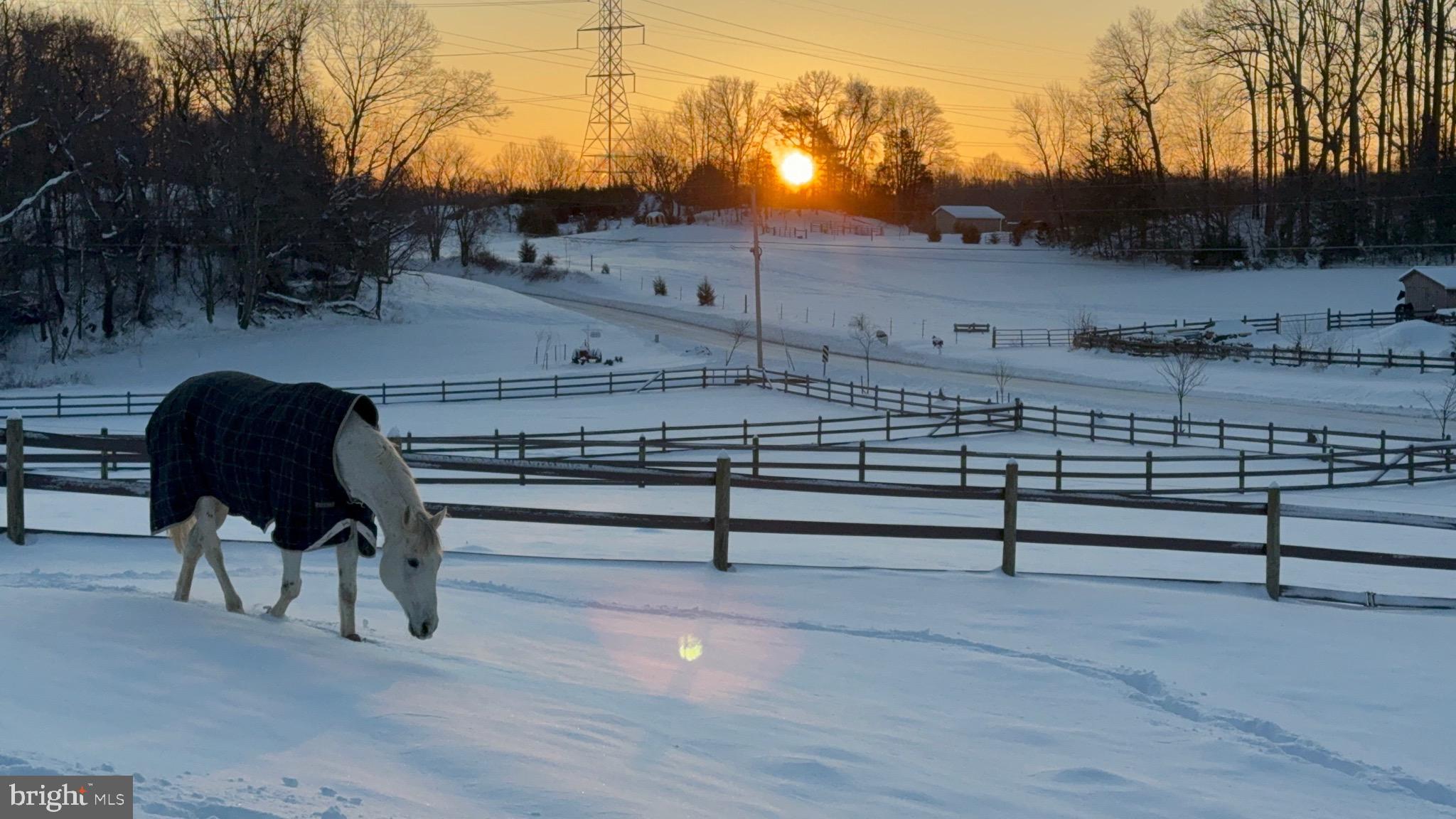 BRANDYWINE - Residential