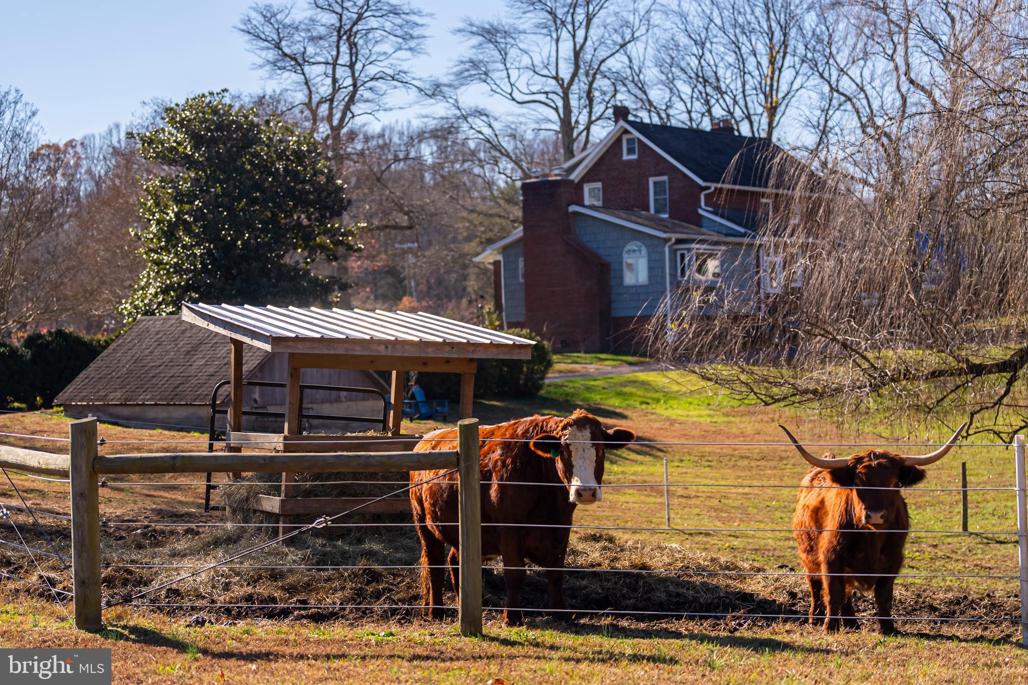 BRANDYWINE - Residential
