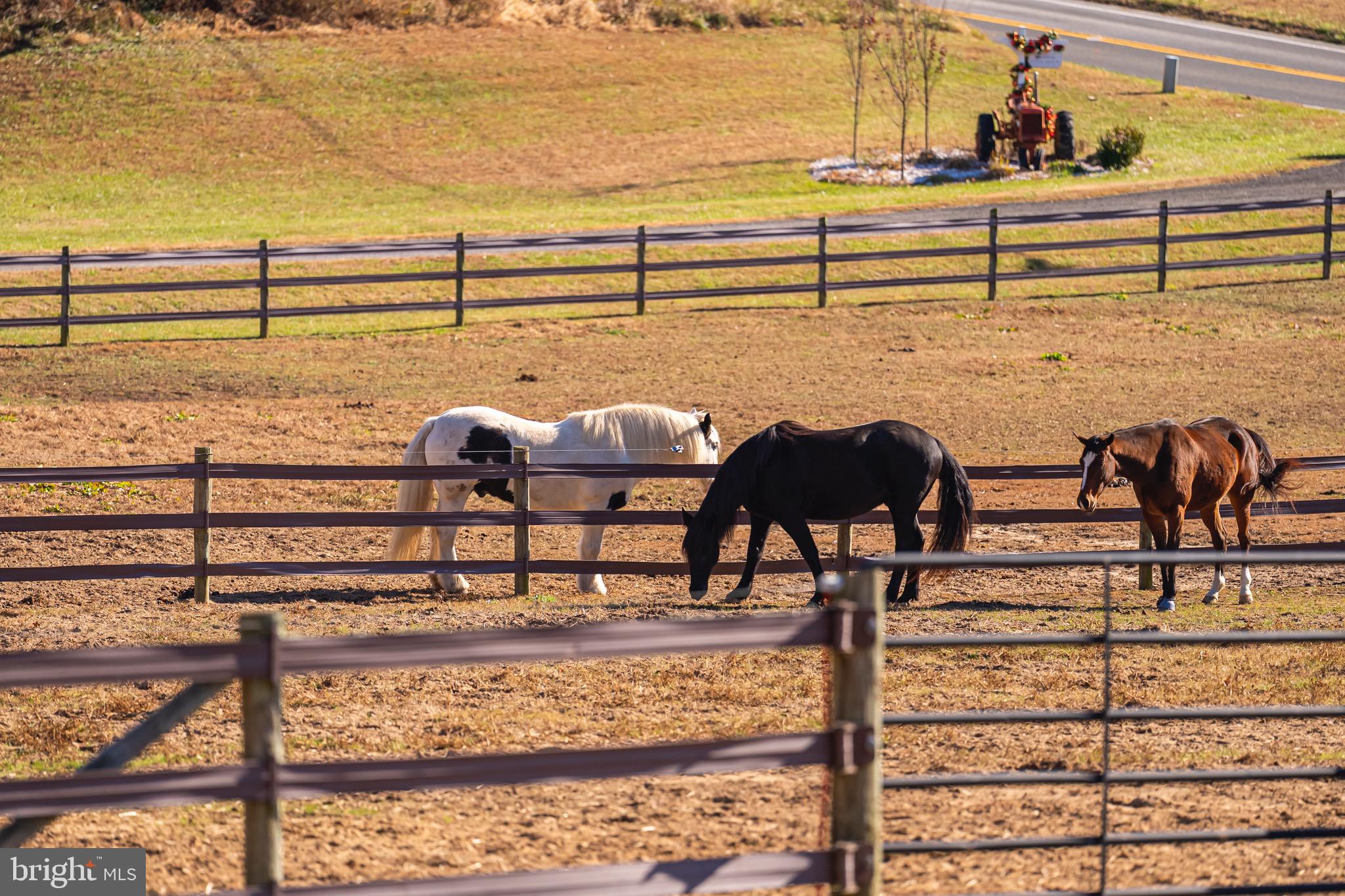 BRANDYWINE - Residential