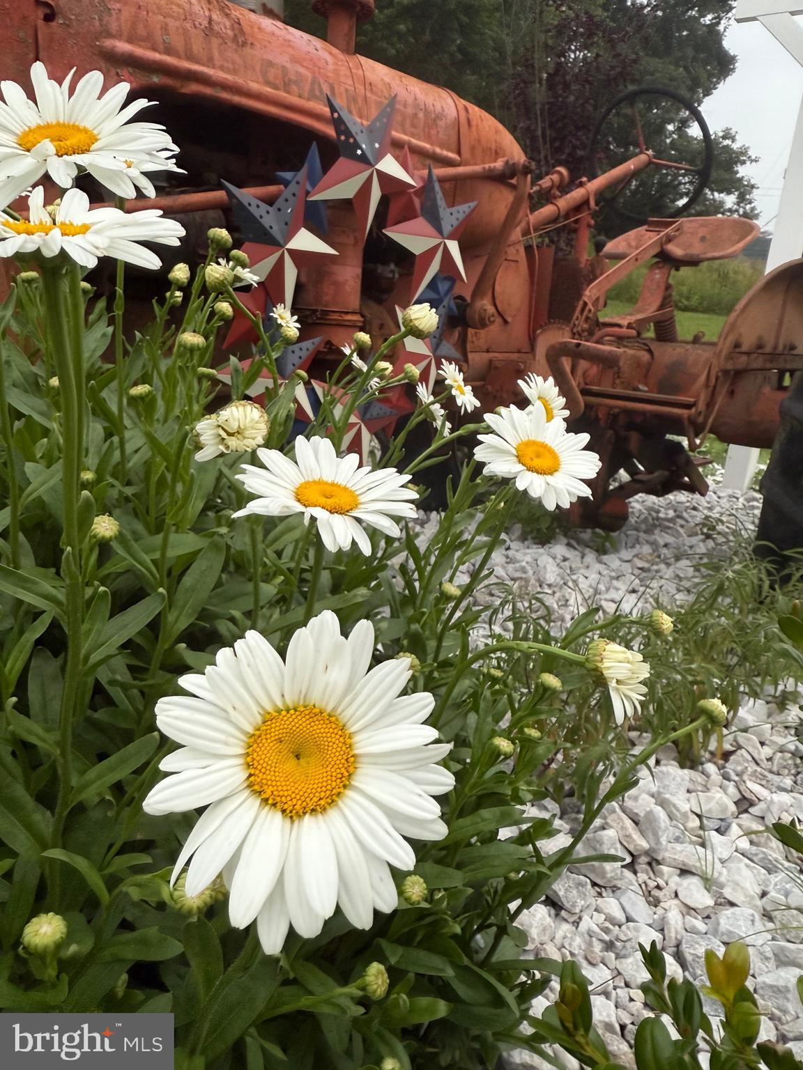 BRANDYWINE - Residential