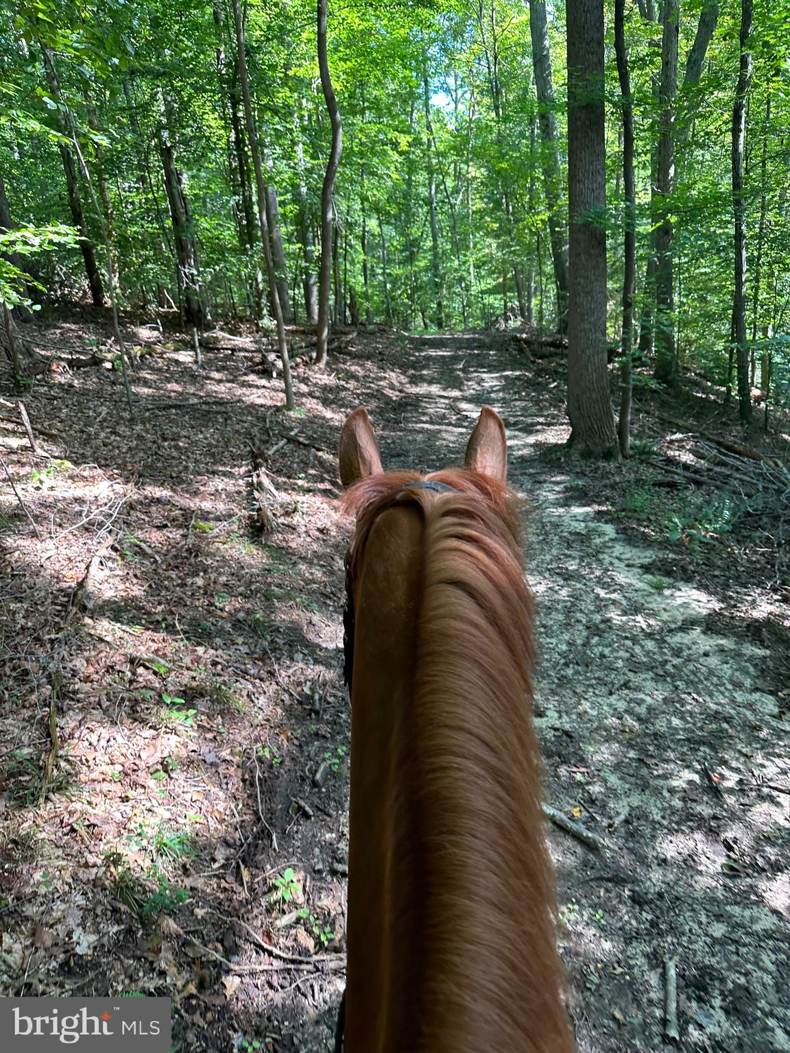 BRANDYWINE - Residential