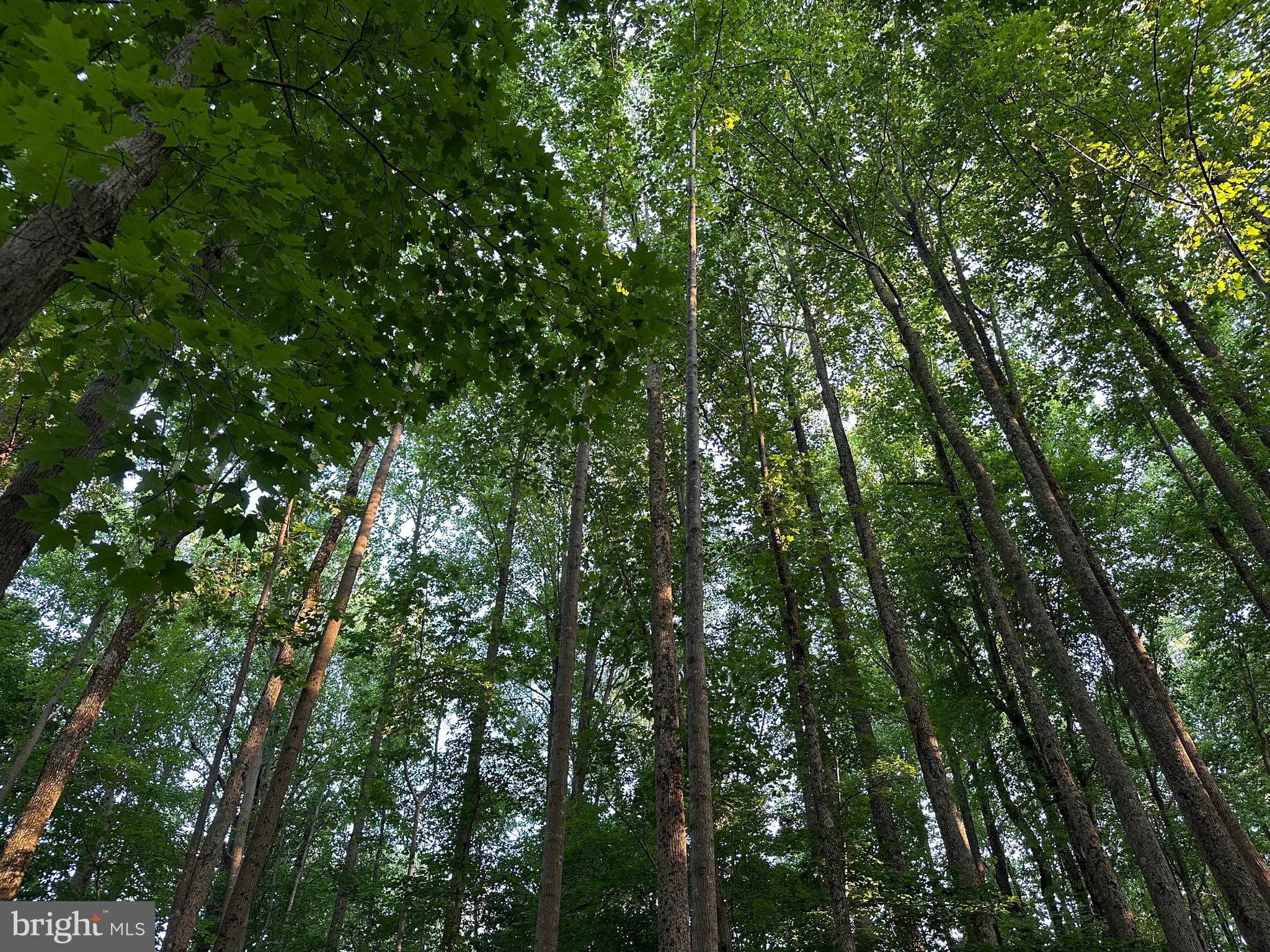 BRANDYWINE - Residential