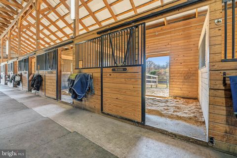 Tiny photo for 19209 Croom Road, BRANDYWINE, MD 20613 (MLS # MDPG2193658)