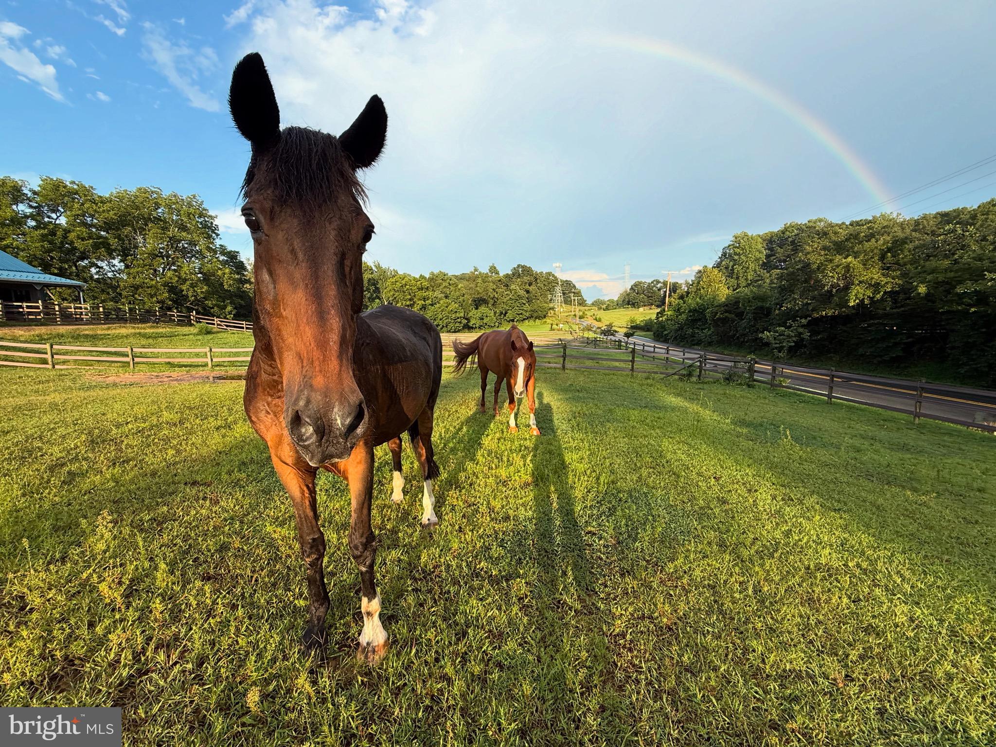 BRANDYWINE - Residential