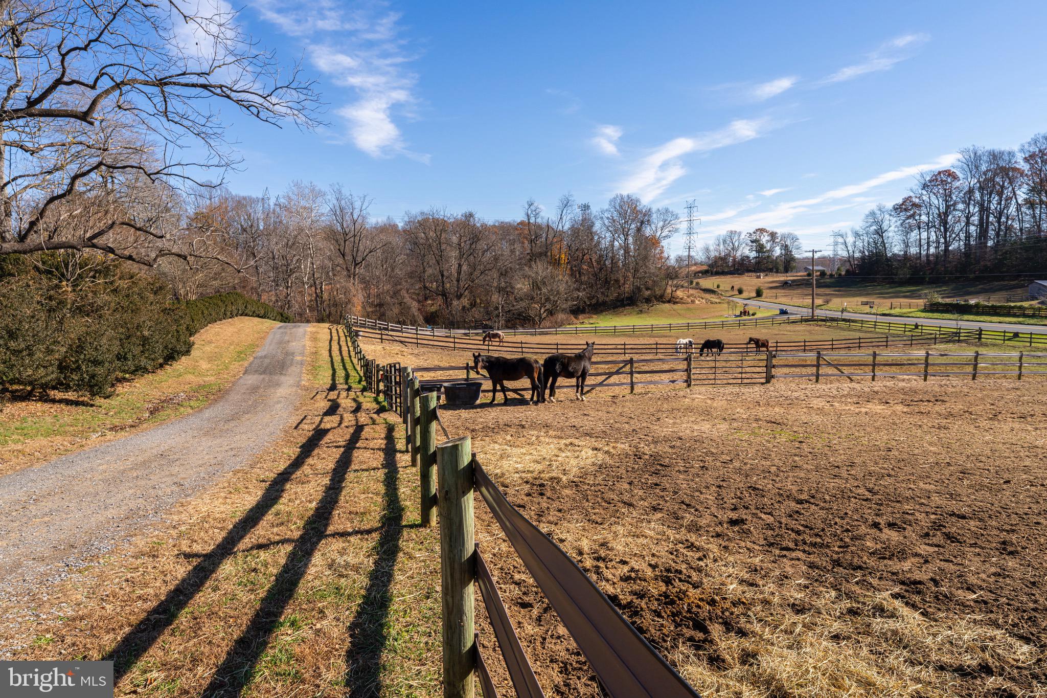 BRANDYWINE - Residential