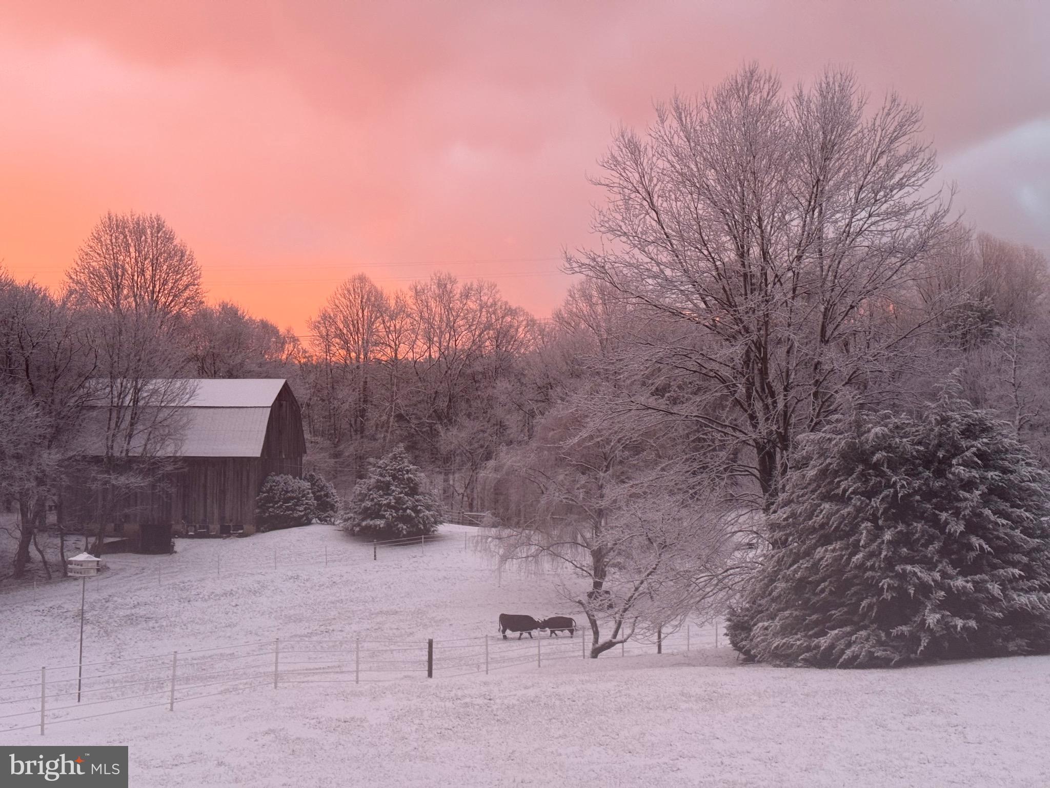 BRANDYWINE - Residential