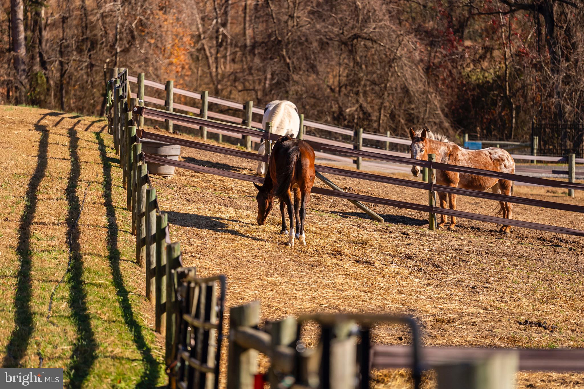 BRANDYWINE - Residential