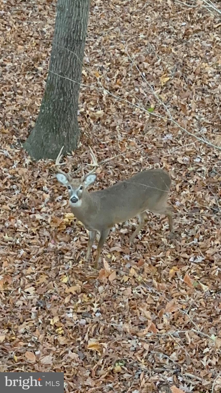 BRANDYWINE - Residential
