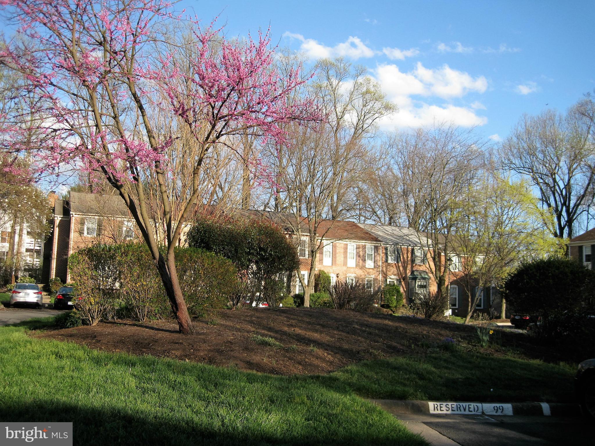 ARROWOOD - Residential Lease