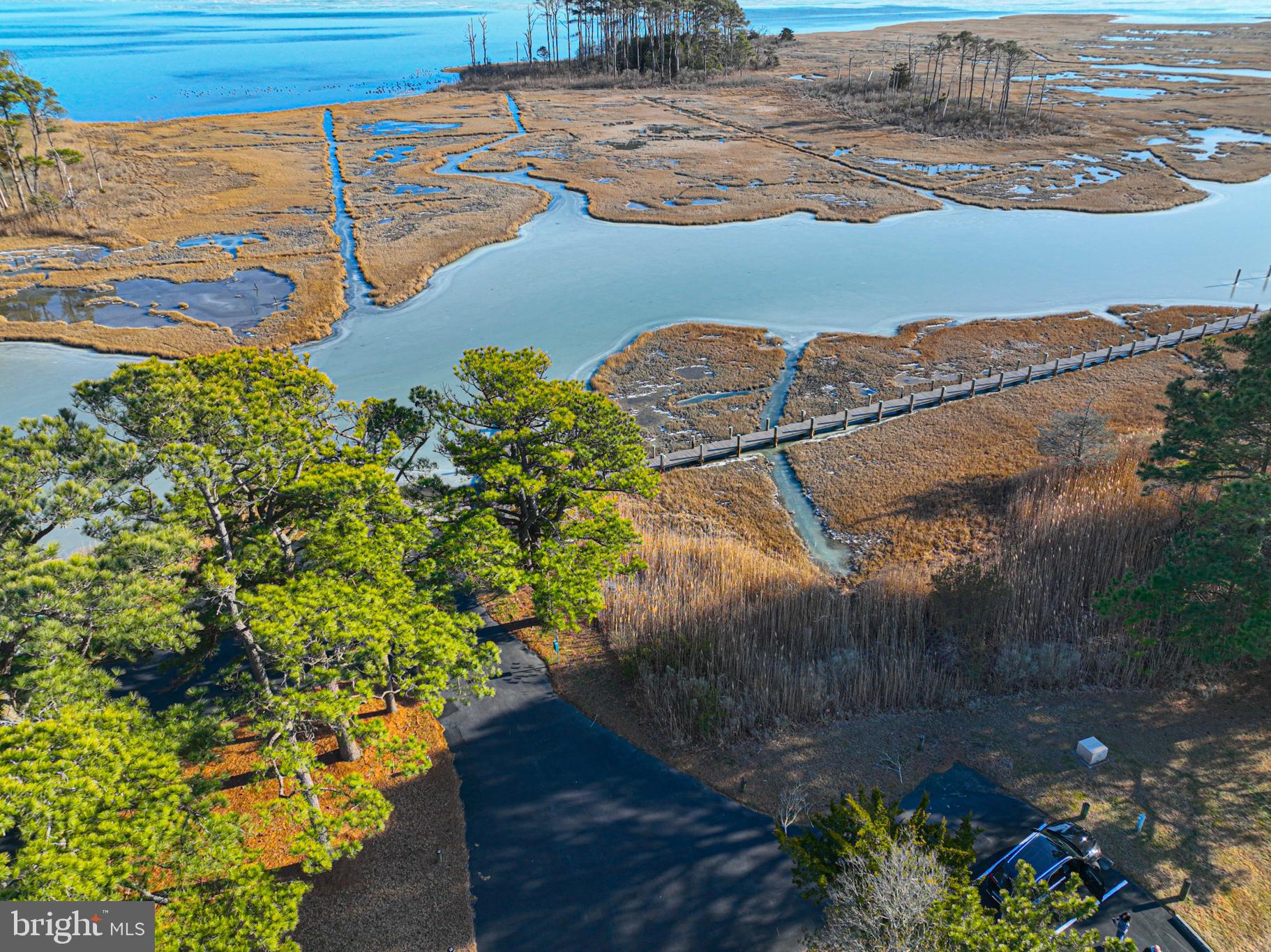 SYNEPUXENT LANDING - Land
