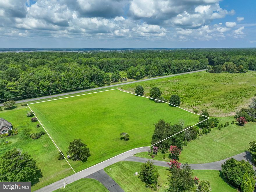 Build your dream home on this 2.7-acre cleared lot located in the desirable community of Synepuxent  Landing in Southpoint. This spacious parcel offers privacy, a peaceful setting, and access to a private community marina and boat ramp with your own private boat slip within the marina!! There is also a kayak and canoe launch area, and crabbing pier.  Enjoy world class boating and fishing at your leisure. This lot is next to a large conservation area so no one can build a home next door giving you extra privacy. Also permitted on this lot is a second building for extra garage space, guest house or in-law suite. Enjoy the best of coastal living just minutes from Assateague Island and Ocean City.