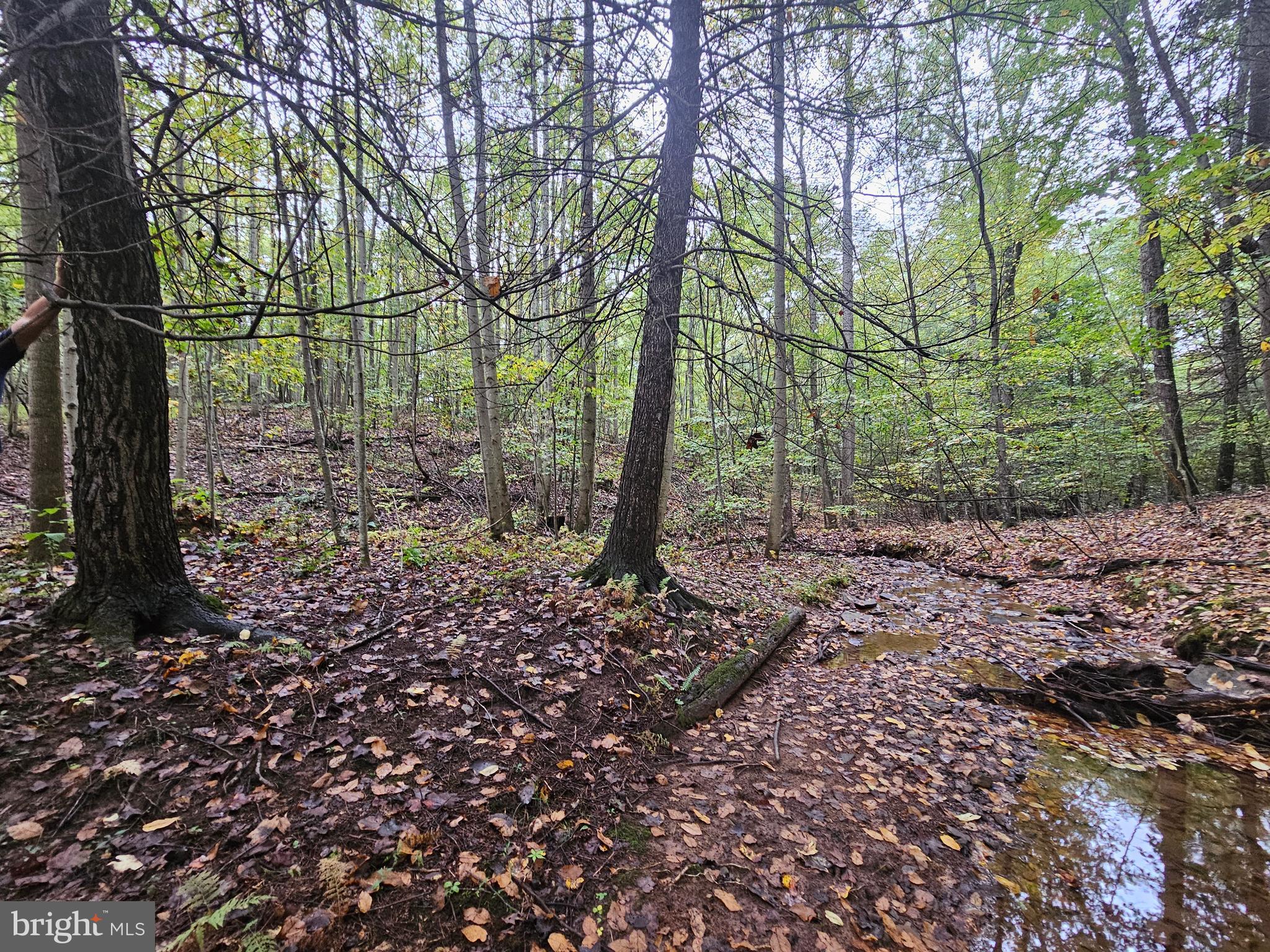 SLEEPY CREEK - Residential