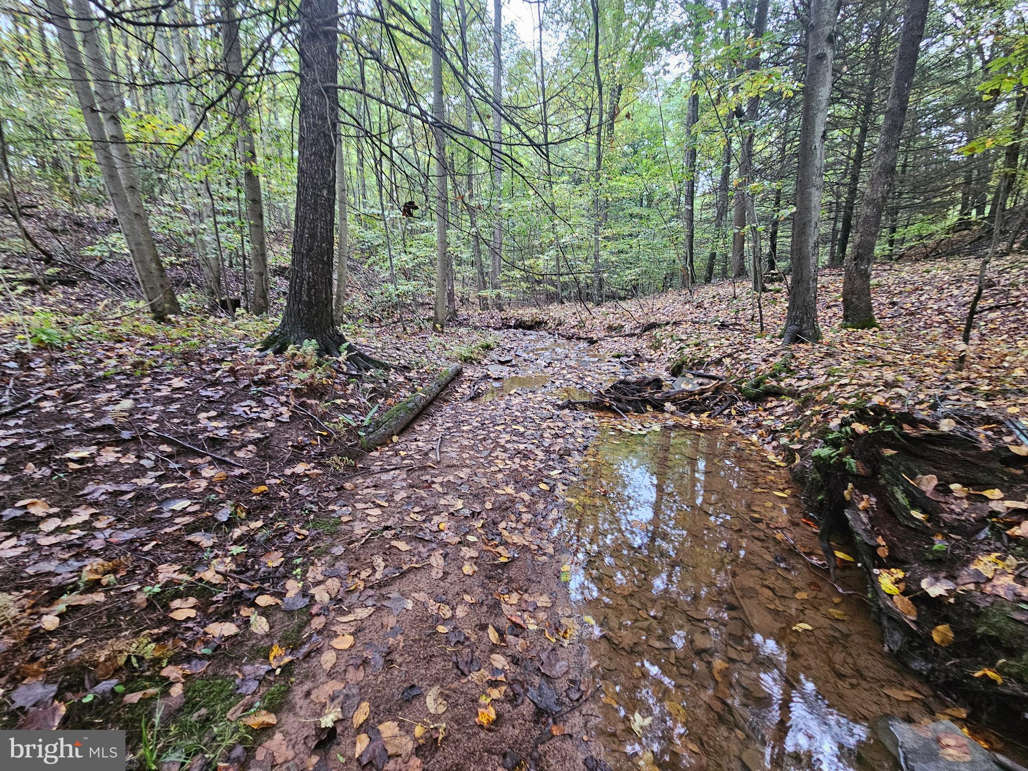 SLEEPY CREEK - Residential
