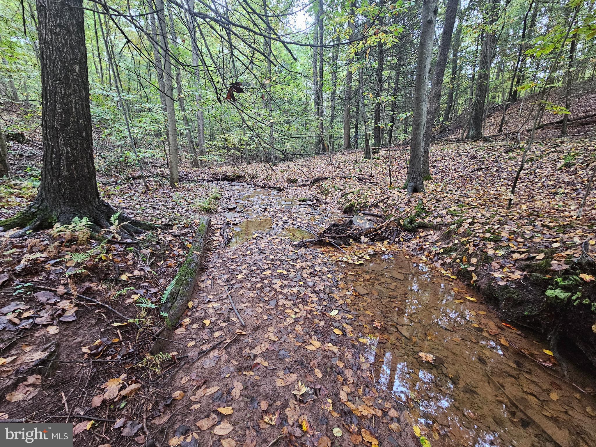 SLEEPY CREEK - Residential