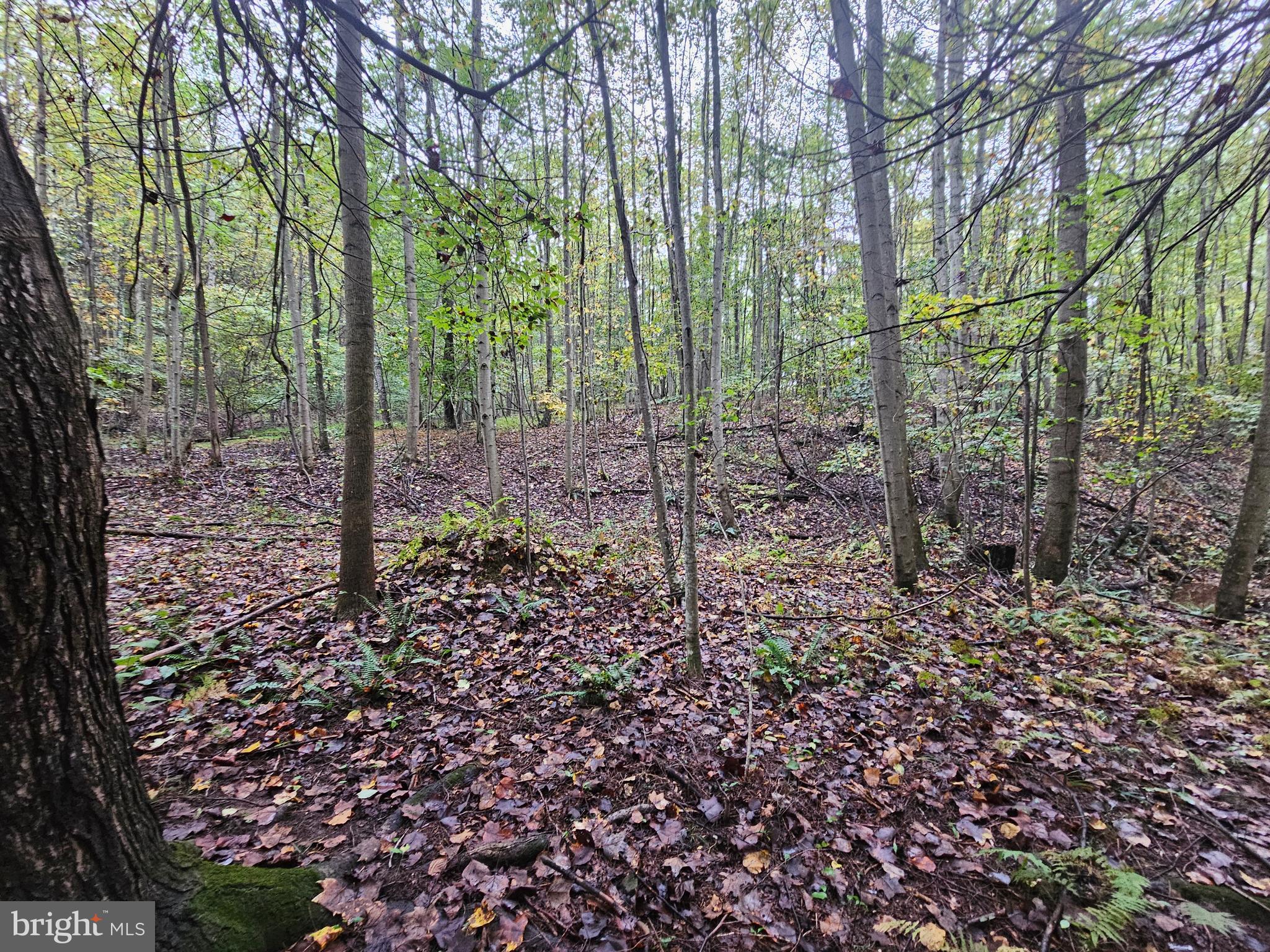 SLEEPY CREEK - Residential