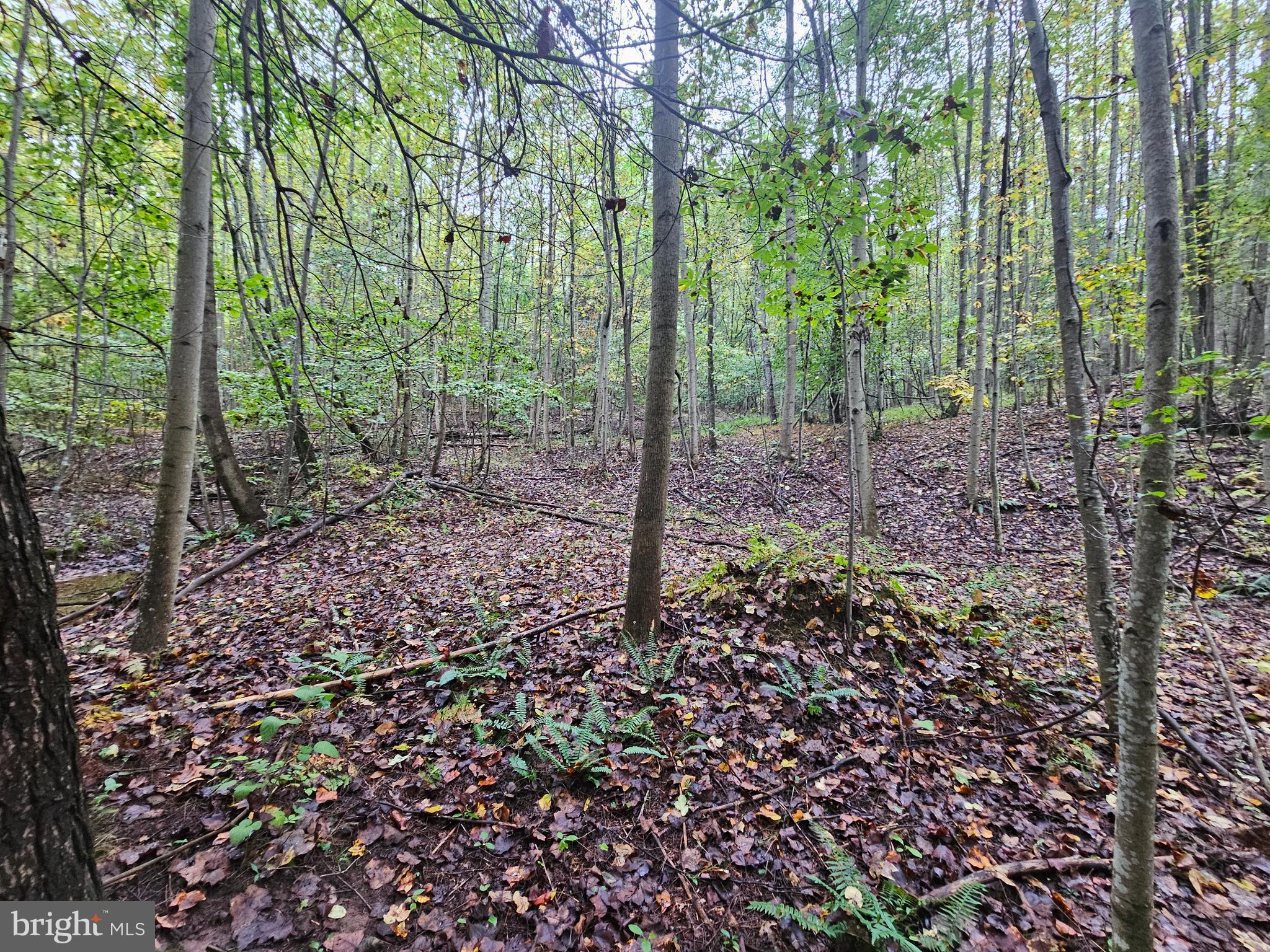 SLEEPY CREEK - Residential
