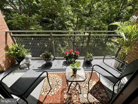 3883 CONNECTICUT AVENUE NW 212 WASHINGTON DC 20008