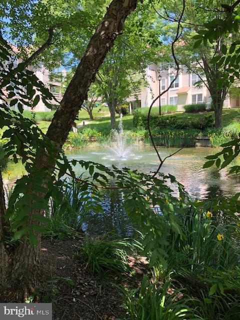 CARR AT PINECREST - Residential Lease