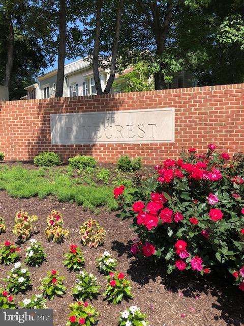 CARR AT PINECREST - Residential Lease