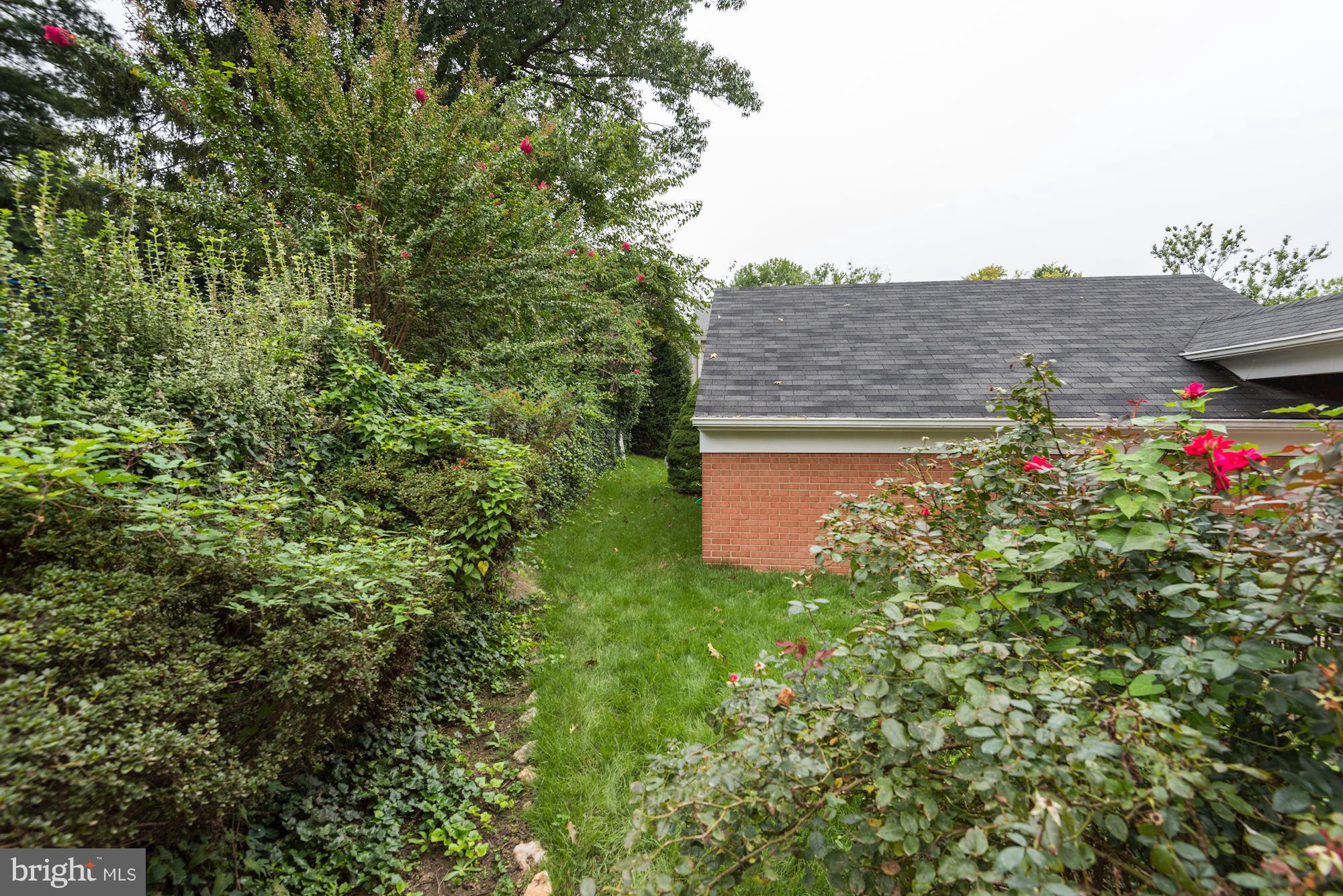 THE FOREST - Residential