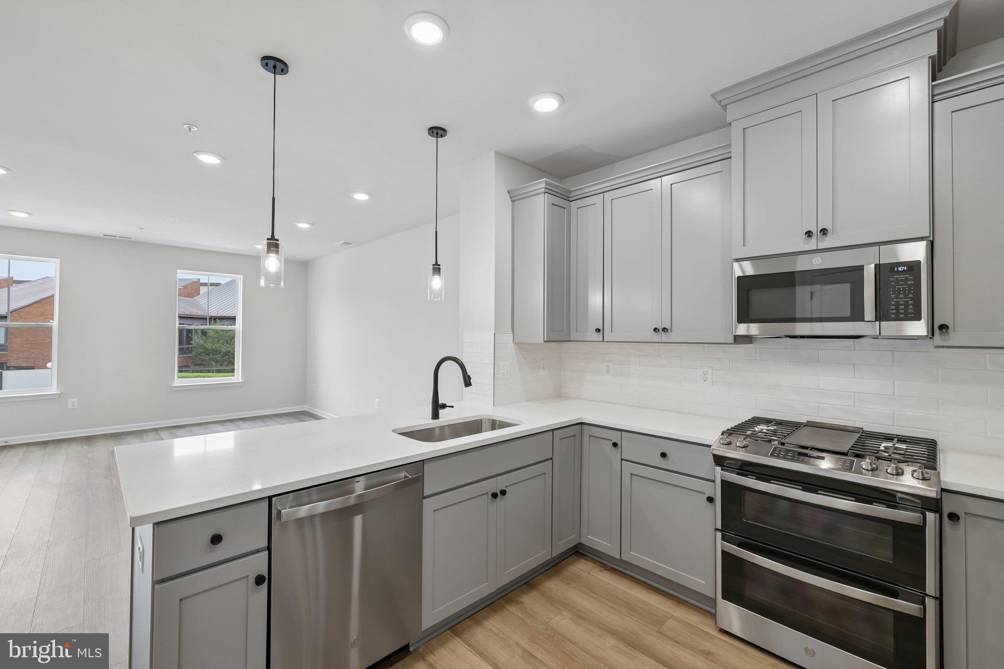 19542 VILLAGE WALK DRIVE