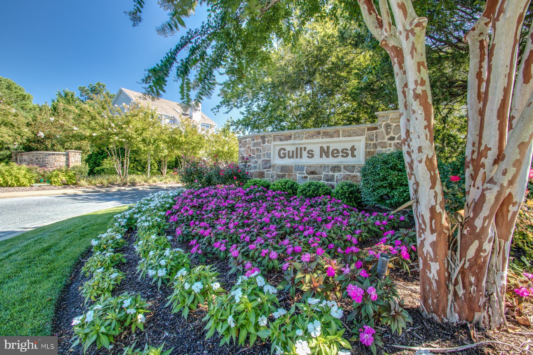 GULLS NEST - Residential